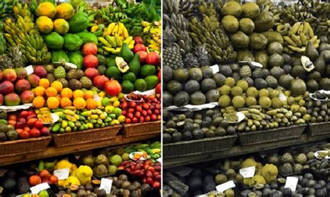 Tabela De Cores Para Daltônicos