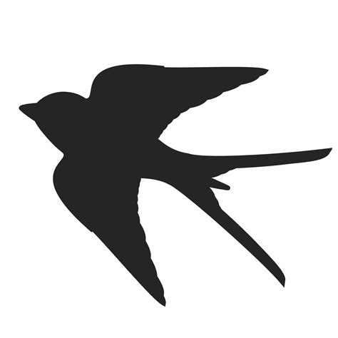Vogel Silhouette Swallow Kostenloses Stock Bild Public Domain Pictures
