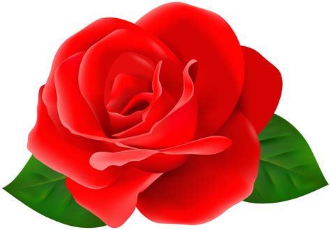 Maybe you would like to learn more about one of these? Red Rose Flower with Leaves PNG Clipart | Gallery ...