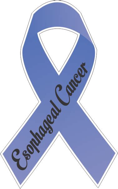 Esophageal Cancer Ribbon Decal 1