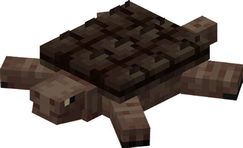 Alligator Snapping Turtle Minecraft Fanon Wiki Fandom