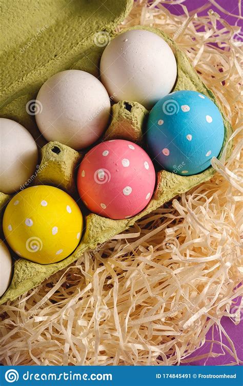 Colorful Polka Dot Easter Eggs In Egg Tray On Wooden Nest On Purple Violet Stock Image Image