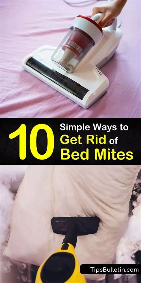 10 Super Simple Ways To Get Rid Of Bed Mites Dust Mite Spray Diy