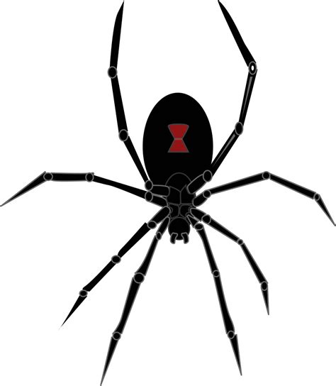Onlinelabels Clip Art Black Widow Spider