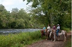 Craigslist Baltimore S Horseback Riding Haven Saddle Up And Explore Scenic Trails