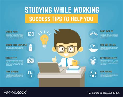 Infographic About Success Tips For Studying While Vector Image