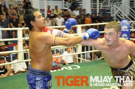 tiger muay thai fighters go 5 1 over three nights in patong phuket thailand fights tiger