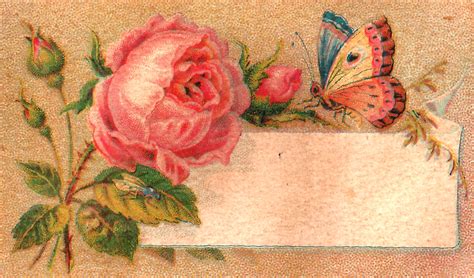 Antique Images Digital Blank Flower Label Download Pink Rose Butterfly
