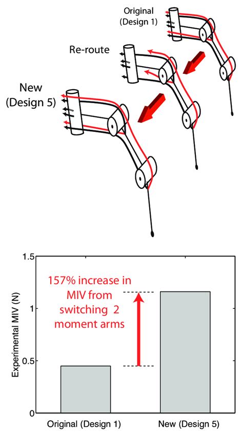 This is done within the patella or tibial tubercle. Illustration of a simple (but intelligent) tendon re-routing that... | Download Scientific Diagram