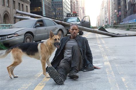 I Am Legend Reboot In The Works Without Will Smith Film