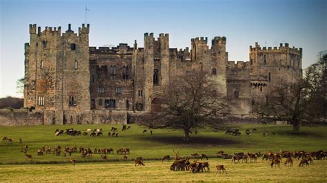 Raby Castle Wallpapers Backgrounds