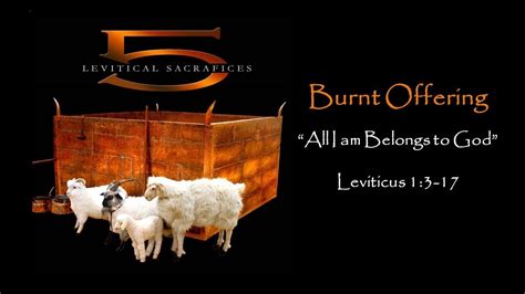 Tabernacle Of Moses The Whole Or Burnt Offering Leviticus 1 By Dr