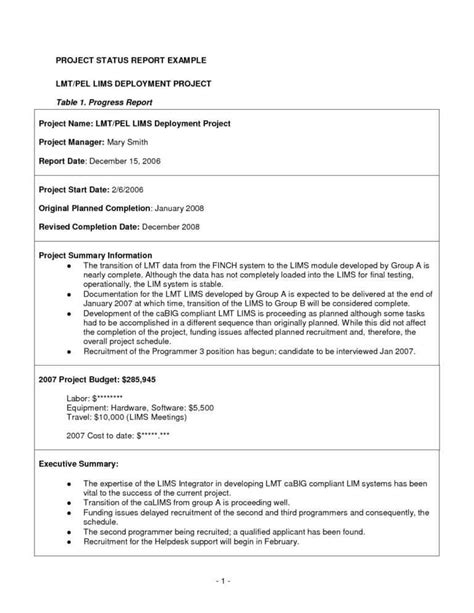 11 Project Status Report Examples Pdf Examples For Executive