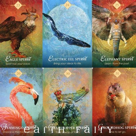 Spirit Animal Oracle Cards By Colette Baron Reid Fairy Oracle