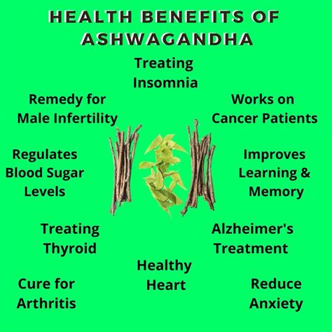 Health Benefits Of Ashwagandha 10 Scientifically Proven