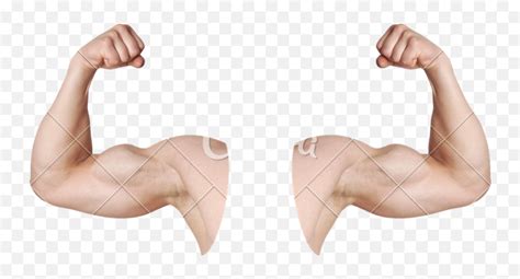 Muscle Emoji Png Flexing Armsmuscle Emoji Png Free Transparent Png