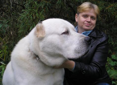 5 246 139 tykkäystä · 599 788 puhuu tästä. Порода Алабай Цена Фото