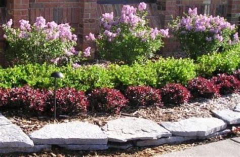 Low maintenance flowering bushes florida. Colorful Landscaping with Low Maintenace Flower Bushes 51 ...