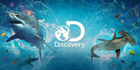 Shark Week Discovery Channel Commercial Auditions For 2017