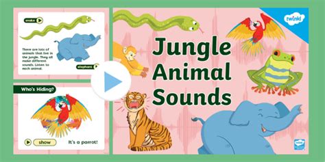 Jungle Animal Sounds Phase 1 Phonics Powerpoint