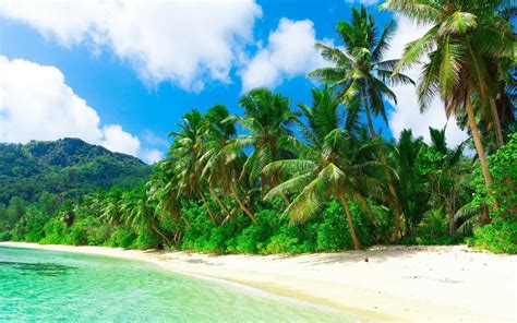 Nature Landscape Beach Sea Sand Palm Trees Clouds Hill Tropical Holiday