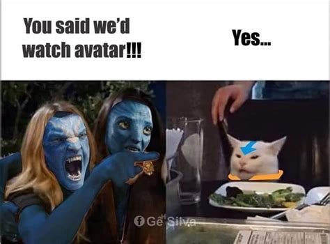 Avatar Memes For The Obsessed Avatar Funny Avatar The Last Airbender