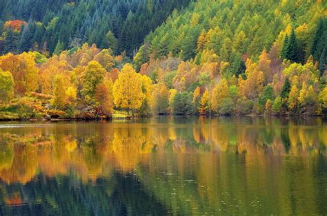 Loch Tummel Autumn Colours Near Pitlochry Last Saturday Af Flickr