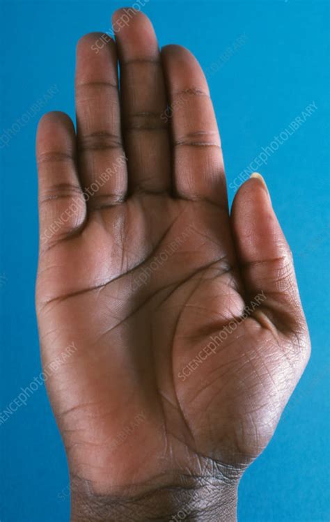 Close Up Of A Black Womans Right Palm Stock Image P7010058