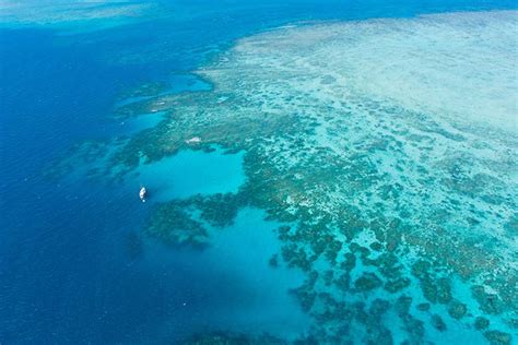 Short Guide To Scuba Diving In The Great Barrier Reef