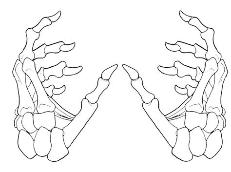 Printable Skeleton Hands Printable Word Searches