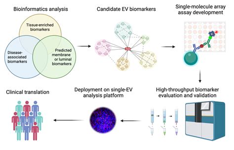 Next Generation Analysis Of Circulating Extracellular Vesicles For