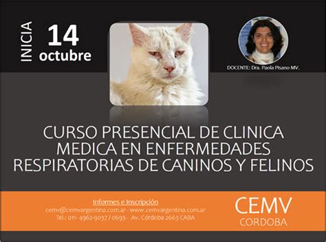 Curso Presencial De Clínica Médica En Enfermedades Respiratorias De