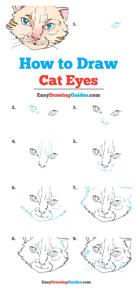 How to Draw Cat Eyes - Really Easy Drawing Tutorial | Cat drawing, Drawings, Drawing tutorial easy