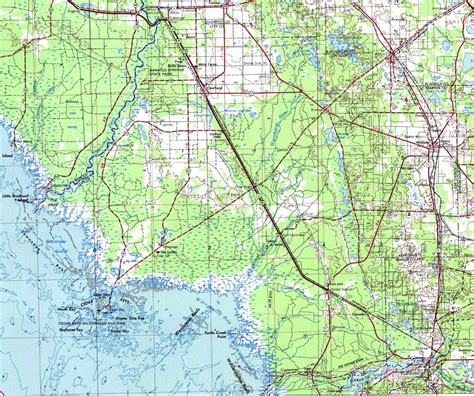 Fstopo is the forest service series of large scale topographic maps. Levy County, 1975