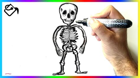 comment dessiner un squelette humain facile pour halloween youtube