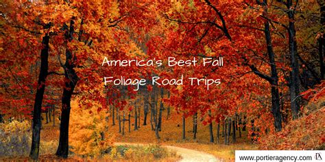 Americas Best Fall Foliage Road Trips Portier Agency
