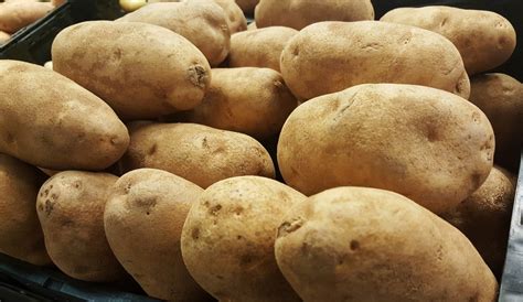 Fresh Deal Russet Potatoes Chequamegon Food Co Op