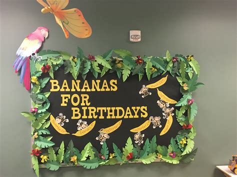 Preschool Jungle Theme Room Birthday Bulletin Board Jungle Classroom