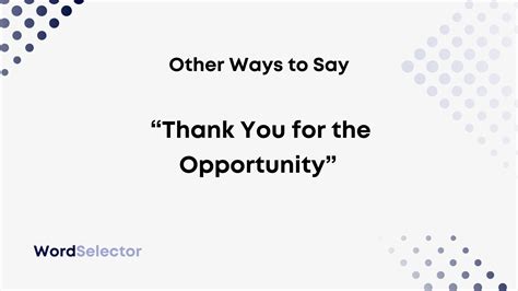 11 Other Ways to Say "Thank You for the Opportunity" - WordSelector