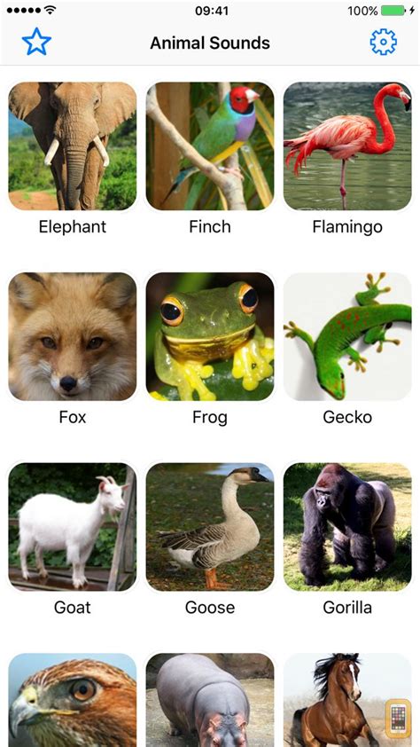 Animal Sounds Pro Farm Jungle Voices For Kids For Iphone