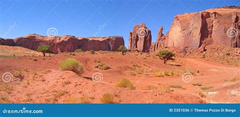 Desert With Red Rocks Stock Photo Image Of Leaf Animals 2351036