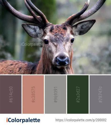 163 White Tailed Deer Color Palette Ideas In 2023 Icolorpalette