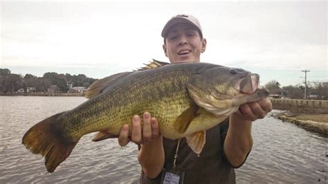 World Record Large Mouth Bass