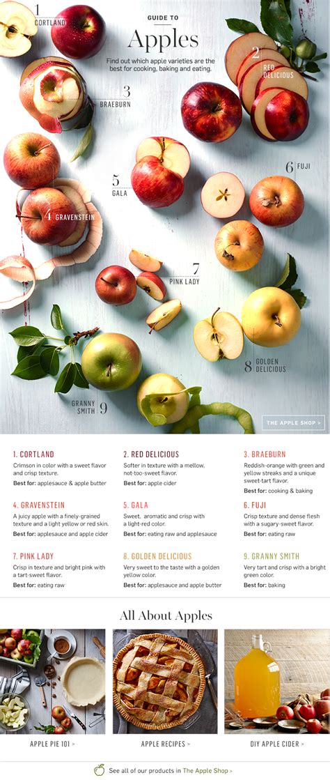 Apple Guide Best Apples For Baking And Cooking With Apples Williams Sonoma