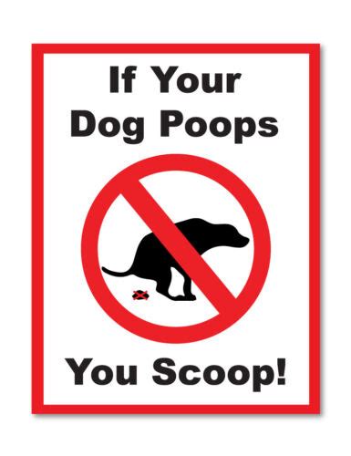 If Your Dog Poops You Scoop Self Adhesive Stickers Safety Signs