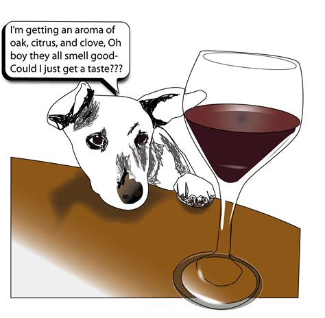 Dogs And Wine They Can Smell So Much Better Than We They Are Born Wine