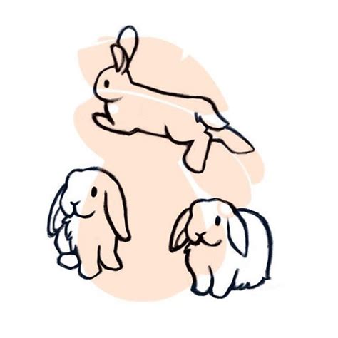 Pin On Rabbit Drawings