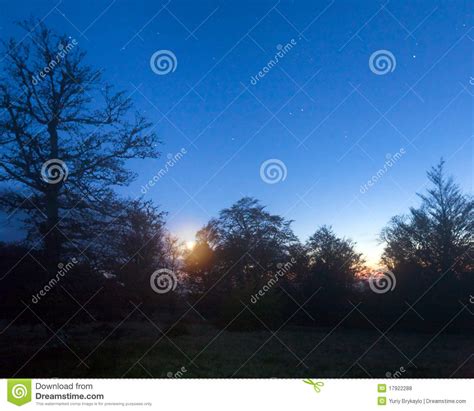 Autumn Naked Forest On Night Mountain Hill Top Stock Photo Image Of Nature Silhouette