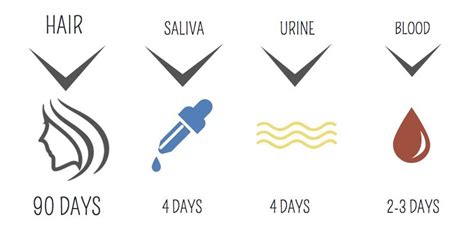 Medical jane explains how long thc stays in your system and more. How Long Does Nicotine Stay in your System?