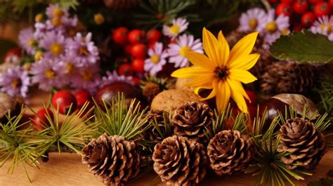 Pinecones And Autumn Flowers Hd Wallpaper